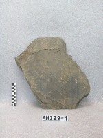 藏品(板棺側板殘片)的圖片